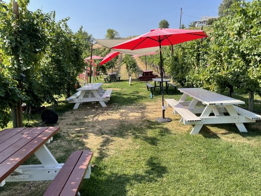 Lake Chelan Winery by null