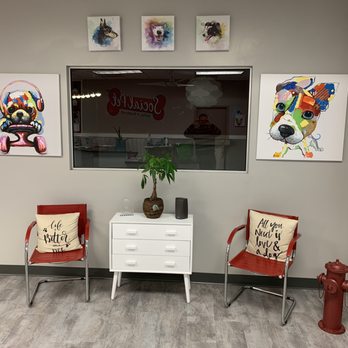 Social Pet - Lobby Seating - Pet Boarding Near Me - Pineville, North Carolina
