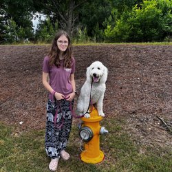 Sit Means Sit Dog Training - Client's Daughter Ellie showing off her training skills with Ruffles!