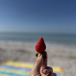Boca Grande