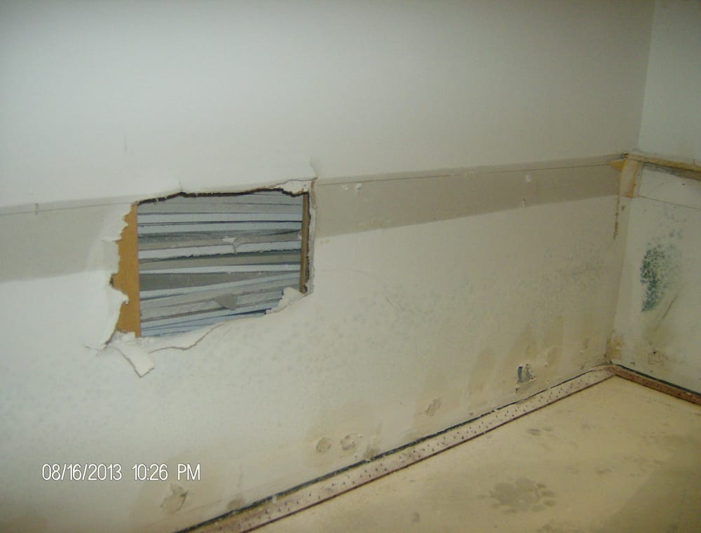 GNL Enterprises - mold inspector in Elk River, MN