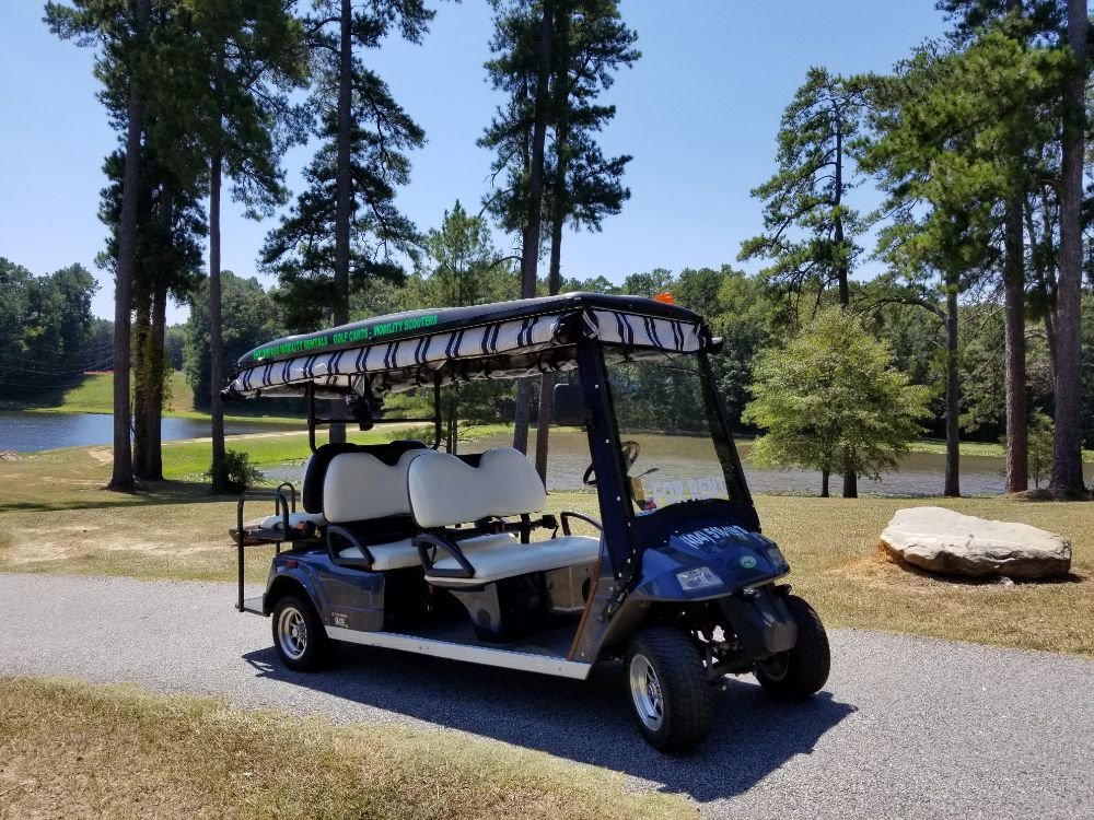 MOBILITY RENTALS Updated August 2024 61 Main St, Senoia