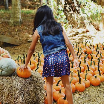 Taylor Farms - Farms Near Me - Virginia Beach, Virginia