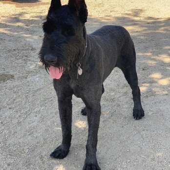 Olive Hills Park - Dog Parks Near Me - Anaheim, California