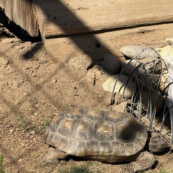 Ford Farms - Petting Zoos Near Me - Lindsay, California Ford Farms - Petting Zoos Near Me - Lindsay, California