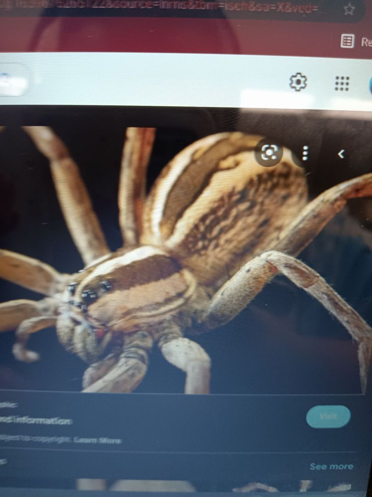 THE AXLE SHOP Updated September 2024 726 Norton Rd, Wise, Virginia