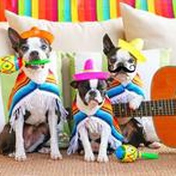 Hilltop Kennels - Hilltop Kennels - Pet Boarding Near Me - Cedar Rapids, Iowa Hilltop Kennels - Hilltop Kennels - Pet Boarding Near Me - Cedar Rapids, Iowa