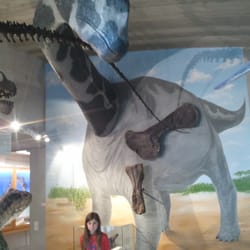Urzeitmuseum - Sammlung Kapustin