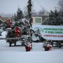 Photo of Northwoods Evergreen Tree Lot