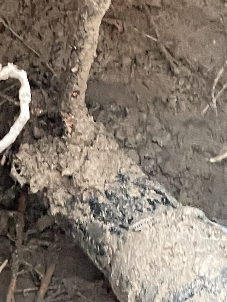 Slide of Bluetech Plumbing