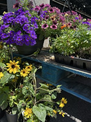 Nashville Farmers' Market by null