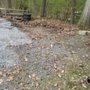 Photo of Buddy’s Removal
