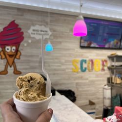 The Big Scoop - Graham Cracker ice cream, Sea Turtle ice cream