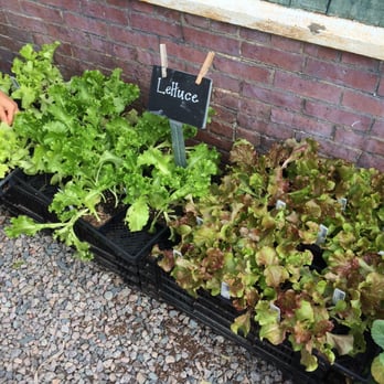 Allandale Farm - From the farm to your table - Nurseries & Gardening Near Me - Brookline, Massachusetts