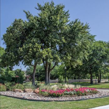 Dryman Landscape Management - Landscape we did in Frisco - Lawn Services Near Me
