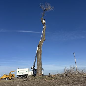 Cutting Edge Tree Service - Tree Services Near Me Cutting Edge Tree Service - Tree Services Near Me
