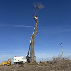 Cutting Edge Tree Service