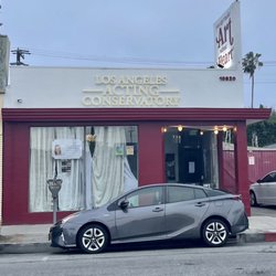Michelle Danner Acting Studio