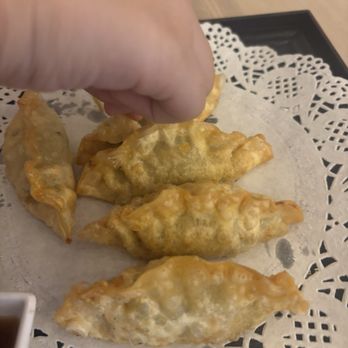Daylight Sushi - Fried dumplings - Sushi Bars Near Me - Spring Hill, Tennessee Daylight Sushi - Fried dumplings - Sushi Bars Near Me - Spring Hill, Tennessee