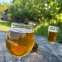Photo of Bonsai Brewing Project