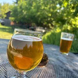 Bonsai Brewing Project