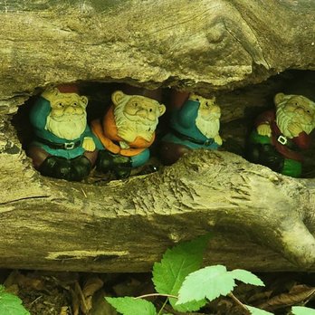Gnomes Trail - Just gnomes hanging out... - Hiking Near Me - Maple Valley, Washington Gnomes Trail - Just gnomes hanging out... - Hiking Near Me - Maple Valley, Washington
