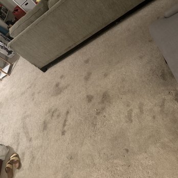True Carpet Cleaning - Before - Carpet Cleaning Near Me True Carpet Cleaning - Before - Carpet Cleaning Near Me