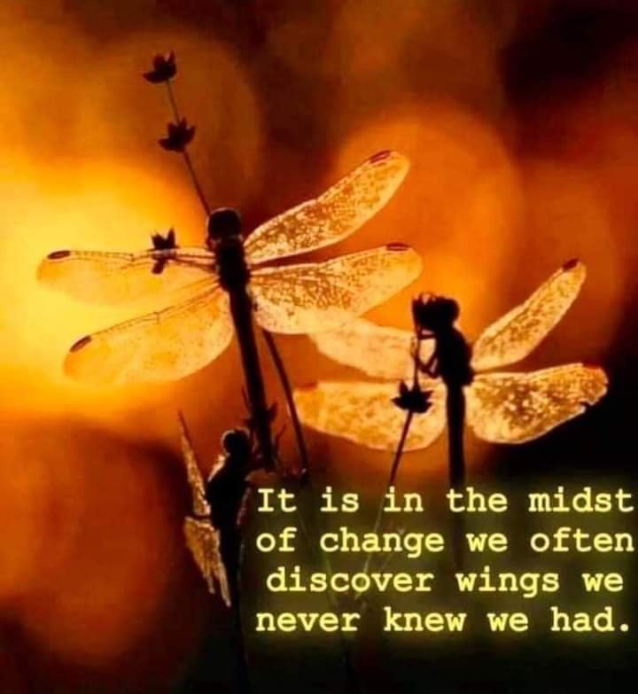 Helping Hand Counseling Center - grief counselor in Fort Lauderdale, FL