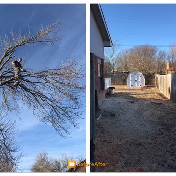 Wright’s Fencing - 50' tree removal. Tricky, but we got it done! - Lawn Services Near Me - Lampasas, Texas Wright’s Fencing - 50' tree removal. Tricky, but we got it done! - Lawn Services Near Me - Lampasas, Texas