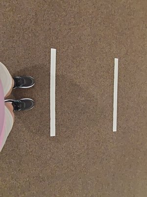 Sumō Museum by null