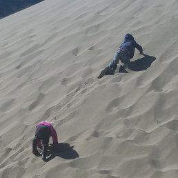 The dunes are fun! The dunes are fun!