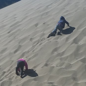 Bodega Dunes Campgrounds - The dunes are fun! - Campgrounds Near Me - Bodega Bay, California Bodega Dunes Campgrounds - The dunes are fun! - Campgrounds Near Me - Bodega Bay, California