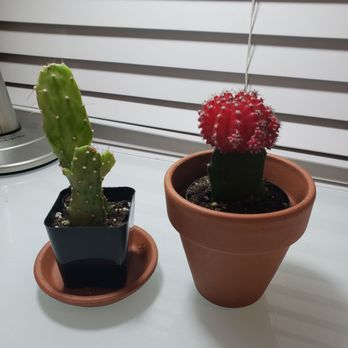 Trendybucks - Home Decor Near Me - Vancouver, British Columbia