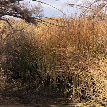 Granite Reef Recreation Site - Hiking Near Me - Mesa, Arizona