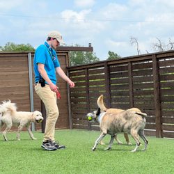 Barkaritaville Pet Resort