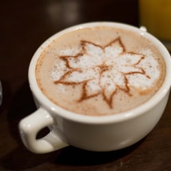 Urban Egg - Coffee-Urban-Egg-Fort-Collins-CO