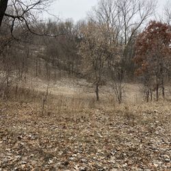 Arlington-Arkwright Dog Park - Stairs in the distance