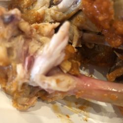 Club Paragon - Look at the pink bone in my Flock of Wings