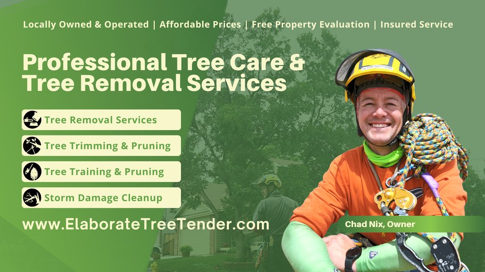 Elaborate Tree Tender - tree service in Arvada, CO