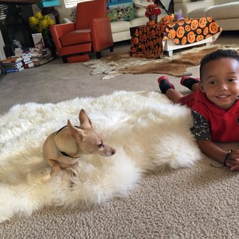 AV Doggie Styles - Per MJ and grandson happy together after his treatments at AV doggie style. - Pet Groomers Near Me - Palmdale, California AV Doggie Styles - Per MJ and grandson happy together after his treatments at AV doggie style. - Pet Groomers Near Me - Palmdale, California