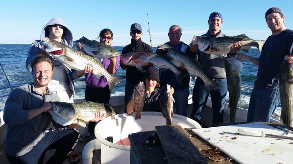 A Line From the Captain - Our fishing isn't limited to just bassin, as the seasons evolve so does our repertoire, we target all species, bottom dwellers; tog, scup, fluke, all hit the deck as we fish year round. Offshore buffs can challenge their skills and stamina while fishing the deep for shark, tuna, mahi. We can promise you that we aboard the Karen Ann will work as hard as you to have an enjoyable day fishing. A Line From the Captain - Our fishing isn't limited to just bassin, as the seasons evolve so does our repertoire, we target all species, bottom dwellers; tog, scup, fluke, all hit the deck as we fish year round. Offshore buffs can challenge their skills and stamina while fishing the deep for shark, tuna, mahi. We can promise you that we aboard the Karen Ann will work as hard as you to have an enjoyable day fishing.