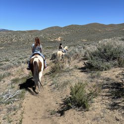 Heavenly Hoofprints - Horses