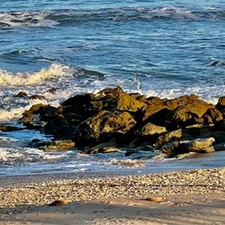 River To Sea Preserve - December 16, 2022