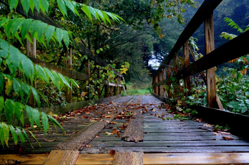 Melissa Mcvicker, PhD, LMFT - grief counselor in San Antonio, TX