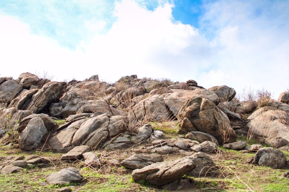 MARTIN TUDOR JURUPA HILLS REGIONAL PARK - Updated January 2025 - 138