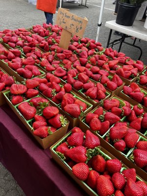 St. Helena Farmers' Market by null