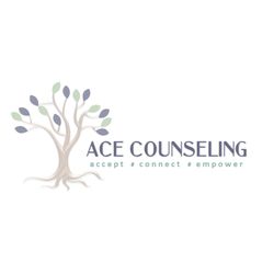 Ace Counseling Group