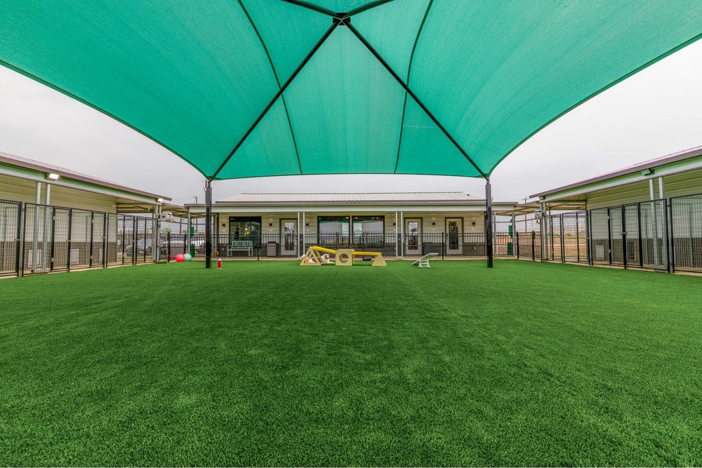Casa De Pawz - pet boarding facility in Adkins, TX