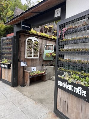 Succulent Coffee by null
