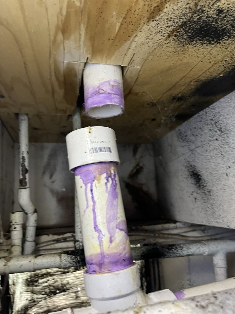 Slide of Whitney Services